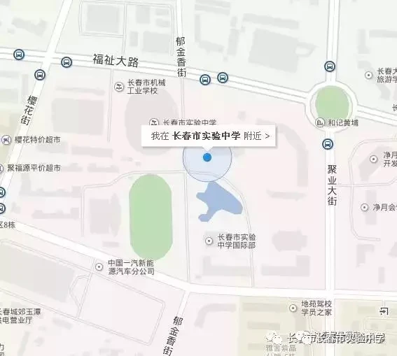 哪里能找到分卫的技术分析视频_0